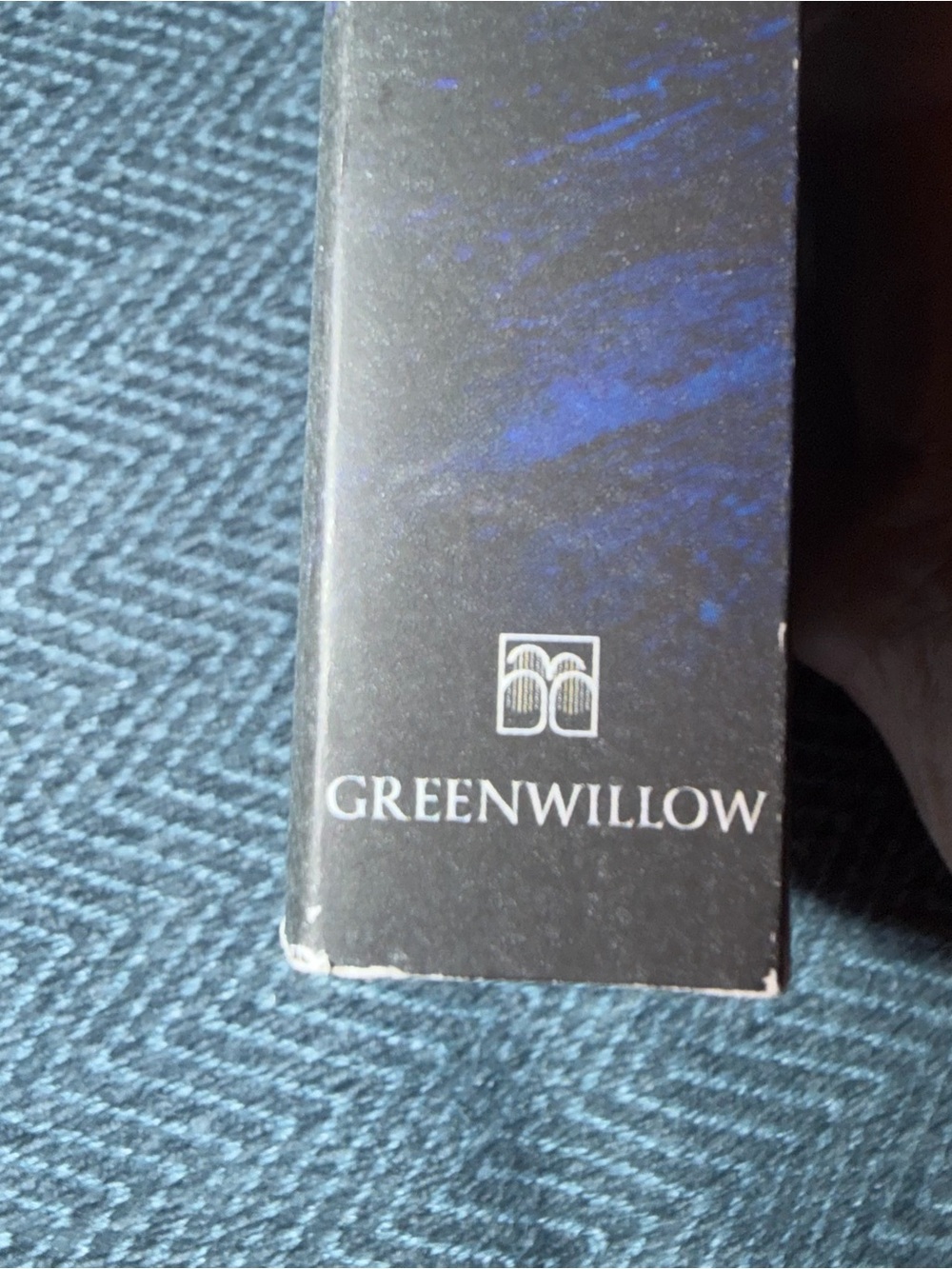 Like a River Glorious by Rae Carson - Picture 5 of 5